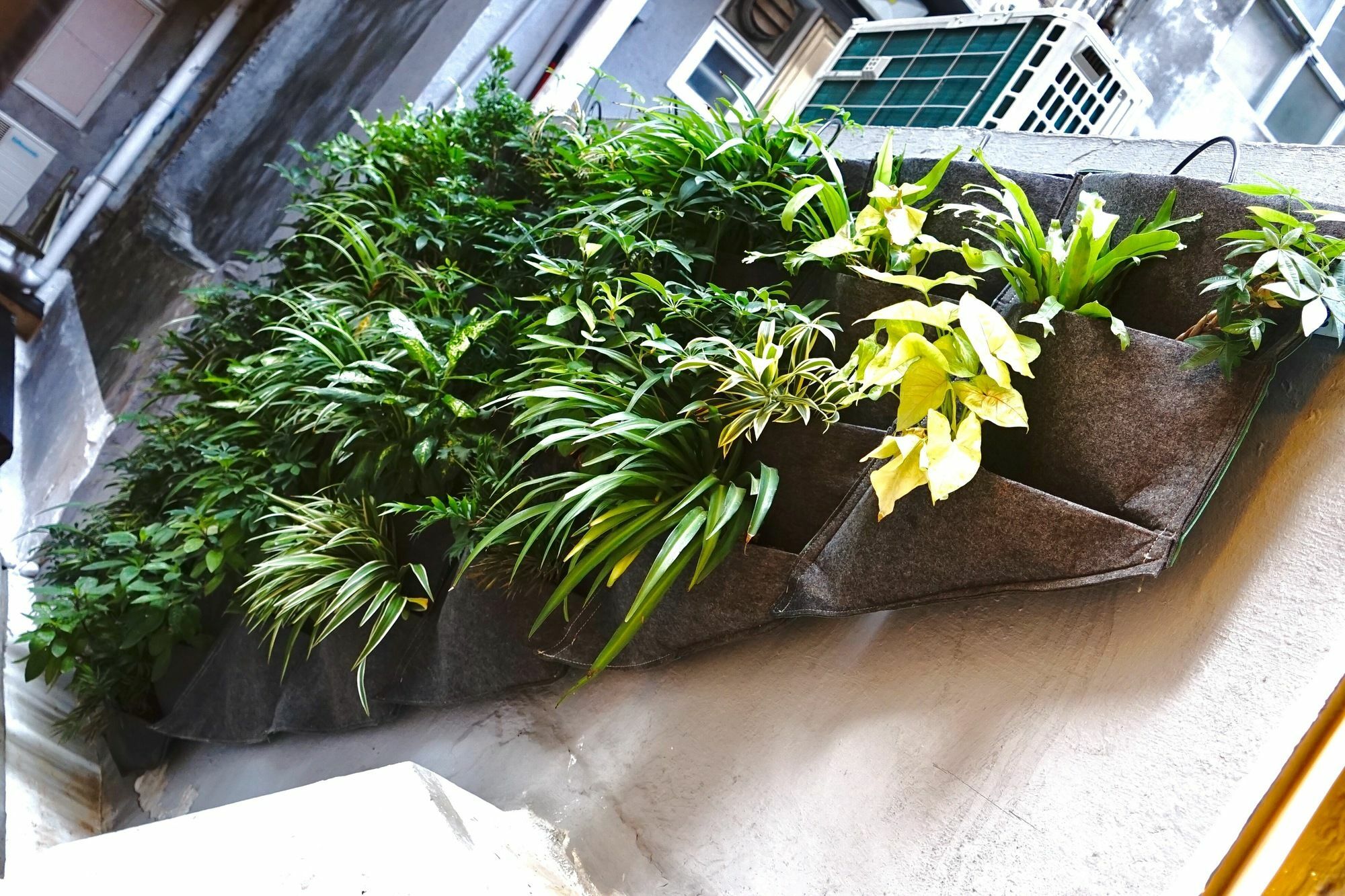 Hotel Sleeep Hkg Gough St Hong Kong Esterno foto